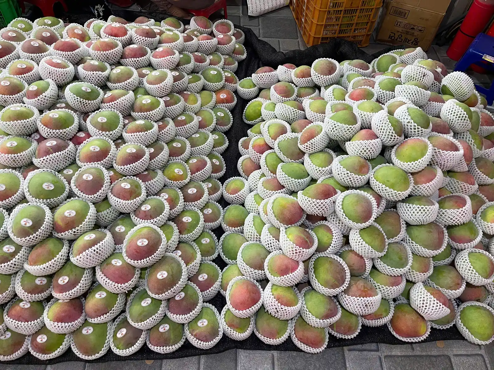 Process
